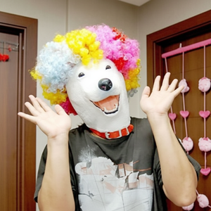 หน้ากากปาร์ตี้ Apro Wae - Product Image 1