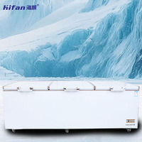 Kulkas Komersial Hemat-Ruang dengan Bagian Freezer Terintegrasi, Pendinginan Udara, Defrost Otomatis, Performa Freezer Dalam yang Andal