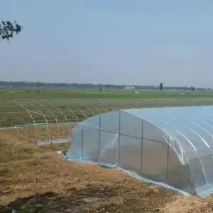 China supplier vertical hydroponic growing irrigation tunnel greenhouse for sale