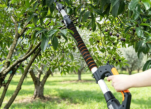 Nueva Máquina Telescópica Inalámbrica JINFUDA de Alta Productividad para la Recolección de Frutas, Operada con Batería, para Ciruelas, Pistachos y Más - Product Image 6