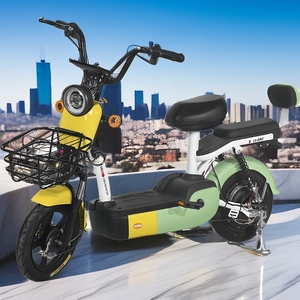 Vélo électrique rapide Vélos à charge électrique Vélo qui rend l'électricité Meilleur vélo électrique Dirt électrique pour adultes - Product Image 2