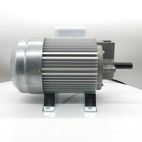 Moteur à Induction à haute efficacité, 750W, 2800 tr/min, pour rectifieuse
