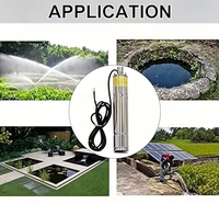 Kit de pompe solaire submersible 48V 500W 0.5HP en acier inoxydable 304 pour puits profond avec contrôleur MPPT pour l'irrigation hors réseau des fermes