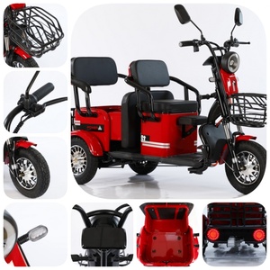 Triciclo Eléctrico de Aluminio y Acero para Movilidad, 48v-60v 1000w, Motorizado, para Carga y Pasajeros, con Certificado EEC - Product Image 5