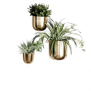 Jardinières murales modernes en laiton, pots de fleurs suspendus circulaires, design minimaliste chromé pour plantes vertes - Product Image 6