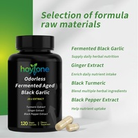 Capsules d'extrait de gingembre noir fermenté et vieilli 20:1, curcuma et poivre noir, marque privée OEM, pour le soutien quotidien de la bien-être