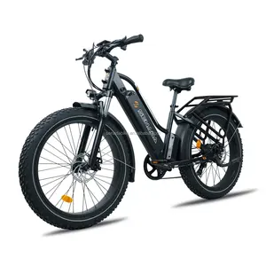 26 Inch Wheel Size Electric Mountain Bike Ebike