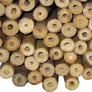 Gardening Natural Dried Natural Bamboo Poles For Plant