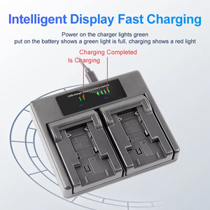 Batería de Polímero de Litio de Alta Calidad DMW-BLG10 RingTeam de 7.2V para Teléfono Móvil, Cargador USB Portátil Rápido DMW-BLG10BLG10PP - Product Image 5