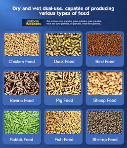 Máquina para Elaborar Alimento para Animales de Corral, Conejos y Pollos, Máquina Pequeña - Product Image 5