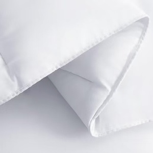 Piumino Invernale di Qualità Alberghiera in <span class=keywords><strong>Cotone</strong></span> Organico Traspirante per Tutte le Stagioni, Ispessito, Misura <span class=keywords><strong>Matrimoniale</strong></span> per Uso Domestico, Primavera Autunno, BSCI Amfori - Product Image 2