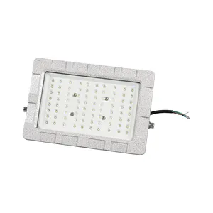 Proiettore a LED quadrato a prova di esplosione IP66 lampada a prova di esplosione a Led impermeabile antipolvere