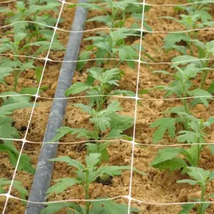 Rede de proteção de plantas verdes agrícola, redes de grãos de escalada para jardins e agricultura