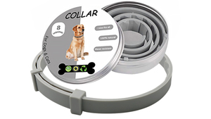 <span class=keywords><strong>Collar</strong></span> de prevención contra <span class=keywords><strong>pulgas</strong></span> y garrapatas, <span class=keywords><strong>Collar</strong></span> contra <span class=keywords><strong>pulgas</strong></span> y garrapatas de un tamaño que se adapta a todos los perros, con diseño ajustable, ingredientes naturales - Product Image 3