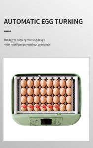 Incubadora de Huevos Totalmente Automática HHD 32, Incubadora para Pollos Pequeños, <span class=keywords><strong>Precio</strong></span> en Camerún - Product Image 5