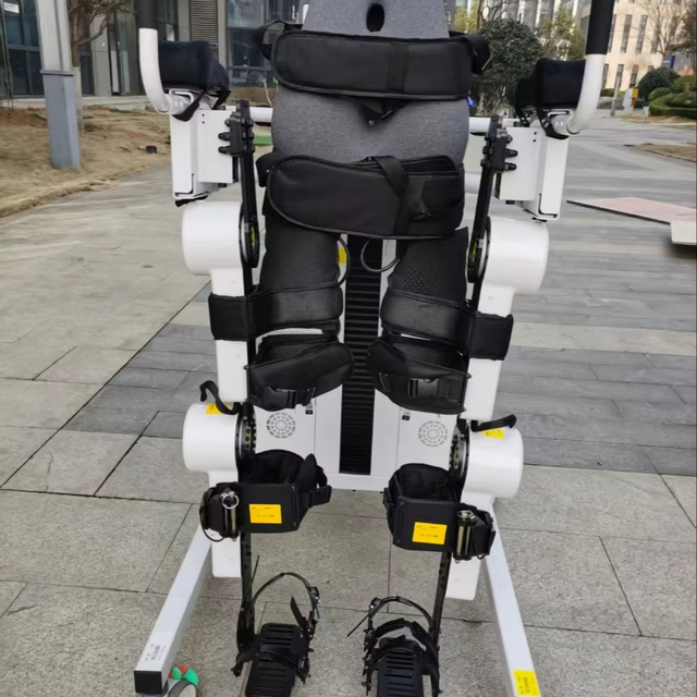 Lower Limb Walking Aids Leg Lifting Exoskeleton Rehabilitation Equipment for the Elderly Stroke Hemiplegia