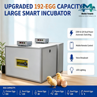 Incubateur automatique haute capacité 192 œufs en acier inoxydable double alimentation (AC220V/DC12V) avec rotation automatique à 360° et contrôle de température OEM