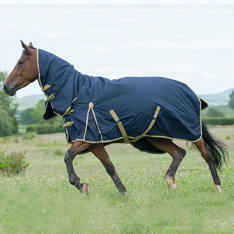 Wholesale Waterproof Design High Quality Mesh Equestrian Riding Product Horse Fly Rug For Horse