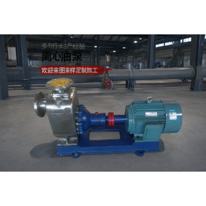 Pompe de circulation d'huile chaude refroidie par air RY Pro en fonte pour système de chaudière à huile thermique - Product Image 2