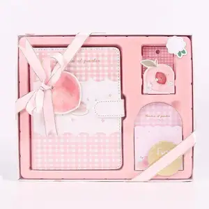Benutzer definierte Luxus Hardcover Blush Pink Peach Briefpapier Geschenkset mit Aufklebern und Haft notizen