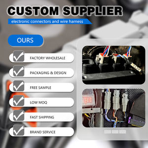 <span class=keywords><strong>2</strong></span> <span class=keywords><strong>3</strong></span> 4 8ピンDTシリーズメスオスDeutchコネクタキット (ツール端子付き) - Product Image 4