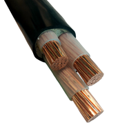 Cable de Alimentación Revestido de Fabricante de Cables, Armadura de Banda de Acero, Baja Tensión 0.6/1kv, 3 4 5 Núcleos, Minería Subterránea, Túnel Industrial