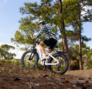 Vélo électrique tout-terrain longue portée avec moteur sans balais, autonomie de 75 miles, batterie 48V 20Ah, freins à disque doubles - Vélo électrique noir - Product Image 5