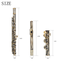 16 Holes Closed Hole Flute C Key Flutes Antique Bronze for Professional Woodwind Instrument