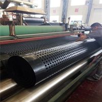 Planche de drainage imperméable en plastique HDPE moderne à fossettes (100% vierge) pour jardin sur toit et mur de sous-sol
