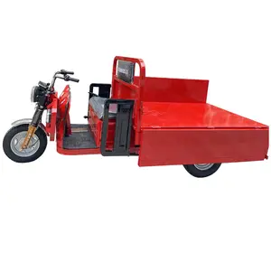 Electric Cargo Vehicle 1000W/1200W/1500W High Speed Cheap Electric Tricycle Electric Carrier Tricycle