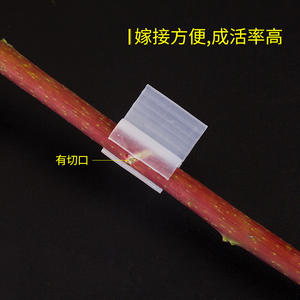 Clips de injerto Jin Nong de 2 mm a 5 mm para atar plántulas de tomate, melón y otras vegetales - Product Image 4
