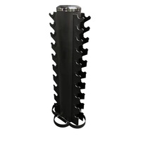 Support d'haltères vertical de 10 paires pour la conception d'arbre d'équipement peu encombrant de gymnastique à domicile pour le stockage de poids libres