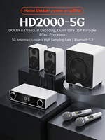 Nouveau Système Audio Sans Fil 5.1 Canaux 5G 2025 avec 6 Haut-parleurs Hi-Fi et Microphone Sans Fil pour Systèmes Audio/Vidéo Domestiques