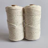 Cordon en coton simple de qualité supérieure RAINBOW DUST, couleur unie, fil pour macramé, corde en coton 5MM