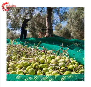 Personalizzazione professionale della fabbrica raccolta raccolta reti da frutta produttore di olive net