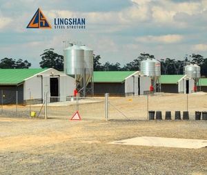 Chi phí thấp ánh sáng Kết Cấu Thép gia cầm trang trại xây dựng prefab Gà nhà - Product Image 5