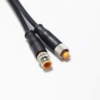 IP67 IP68 עמיד למים חוט מחבר M8 M10 M12 2P 3P 4P כבל מחבר