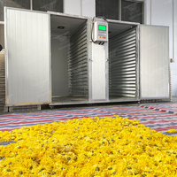Elektrische diesel gas verwarming fruit groenten chrysanten muntbladeren rozen thee voedsel droogoven