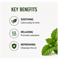 Huile essentielle de mélisse pure et naturelle ; apaisante, relaxante et favorisant le sommeil, idéale pour l'aromathérapie et la promotion du sommeil.