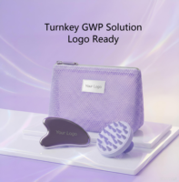 Kit de beauté GWP clé en main, sac cosmétique portable de luxe en maille violette, brosse à cuir chevelu Gua Sha en acier inoxydable avec fermeture éclair, logo personnalisé, bien-être