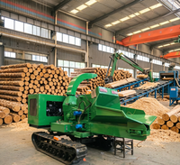 Déchiqueteuse à bois à large application avec gorge de 250 mm et rotation réversible pour le tri et le déchiquetage de déchets de bois mixtes