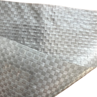 Membrane pare-vapeur de force industrielle pour des conditions météorologiques difficiles