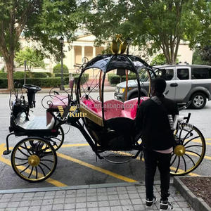 Carruaje Eléctrico con Forma de Calabaza, Sistema de Freno de Estacionamiento Seguro, Carro de Transporte Romántico para Check-in en Resorts, Bodas y Sesiones Fotográficas - Product Image 5