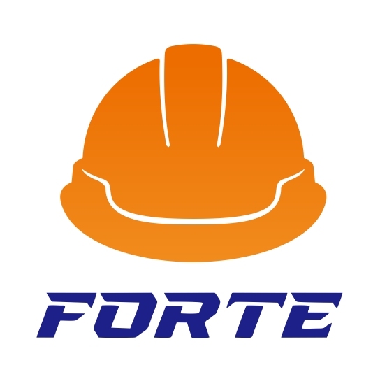 Changzhou Forte Power Machinery Co., Ltd. logo