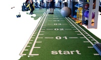 Indoor-Kunstrasen für Fitness-Schlittenbahnen in Hoher Qualität