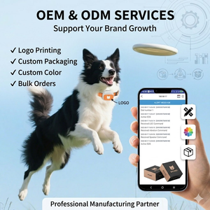 Collier de suivi GPS pour <span class=keywords><strong>chien</strong></span> en temps réel, longue autonomie de la batterie, design étanche, contrôle par application, géolocalisation intelligente, nylon, plastique, 4G, Beidou, AGPS - Product Image 2