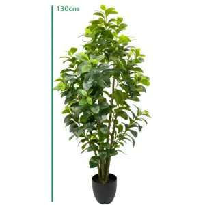 130cm obtusifolia sandersii tetraphylla nhựa cây 495 lá trang trí sân vườn cây cảnh nhân tạo peperomia cây