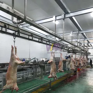 Mudah dioperasikan mesin jagal kambing halal garis pemotongan daging domba mesin pengolahan daging untuk peralatan rumah pemotongan domba
