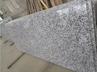 Dalles de granit blanc poli SGZ, pierre naturelle gris moucheté, pour façade extérieure, cuisine, projets publics, pavage, prix usine