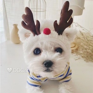 Chapeau de Père Noël, antlers de renne, bavoir pour chien, costume d'hiver pour animaux de compagnie, style dessin animé doux pour chiens et chats - Product Image 2